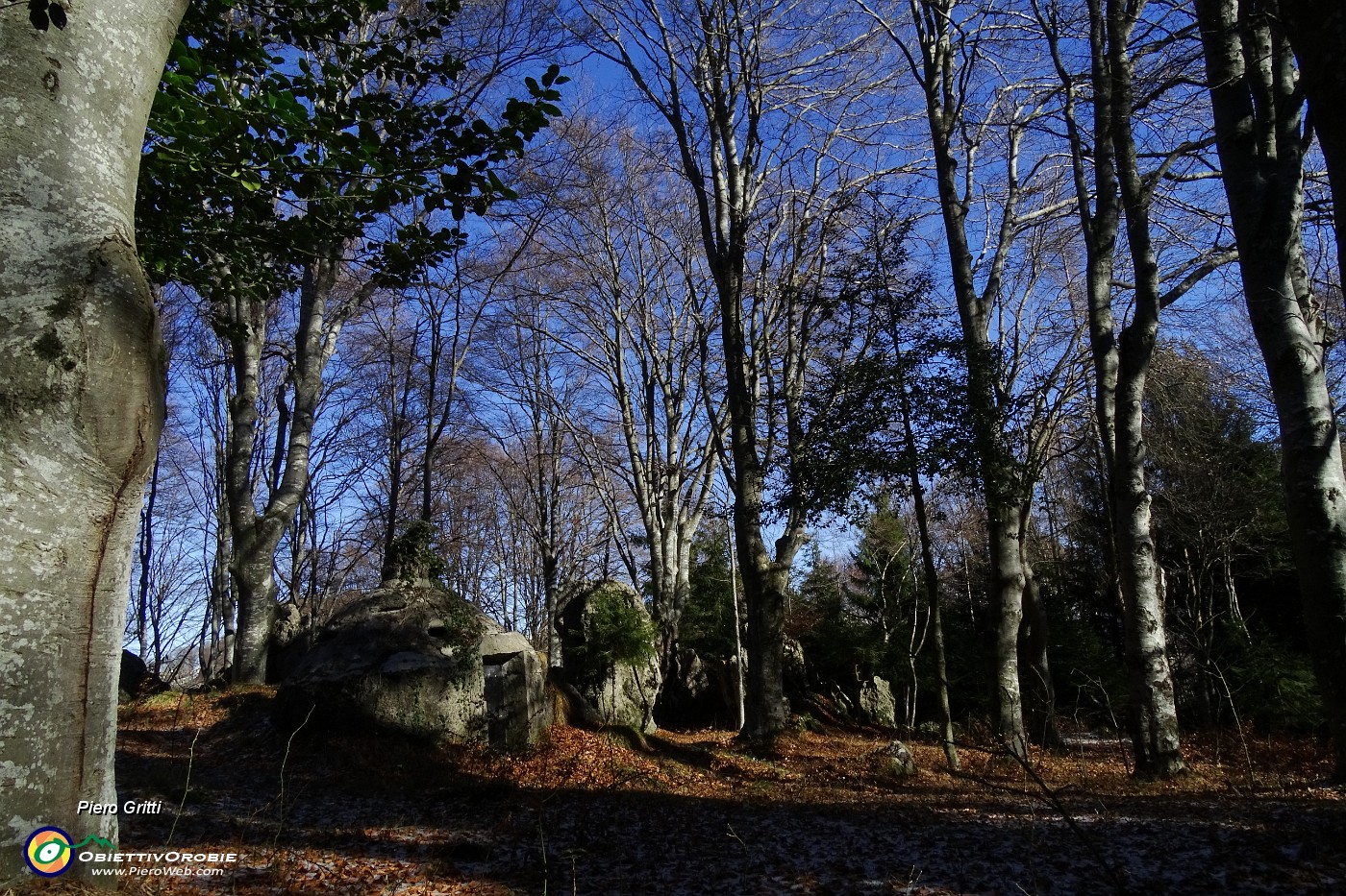 16 Faggi secolari e caratteristiche formazioni rocciose.JPG